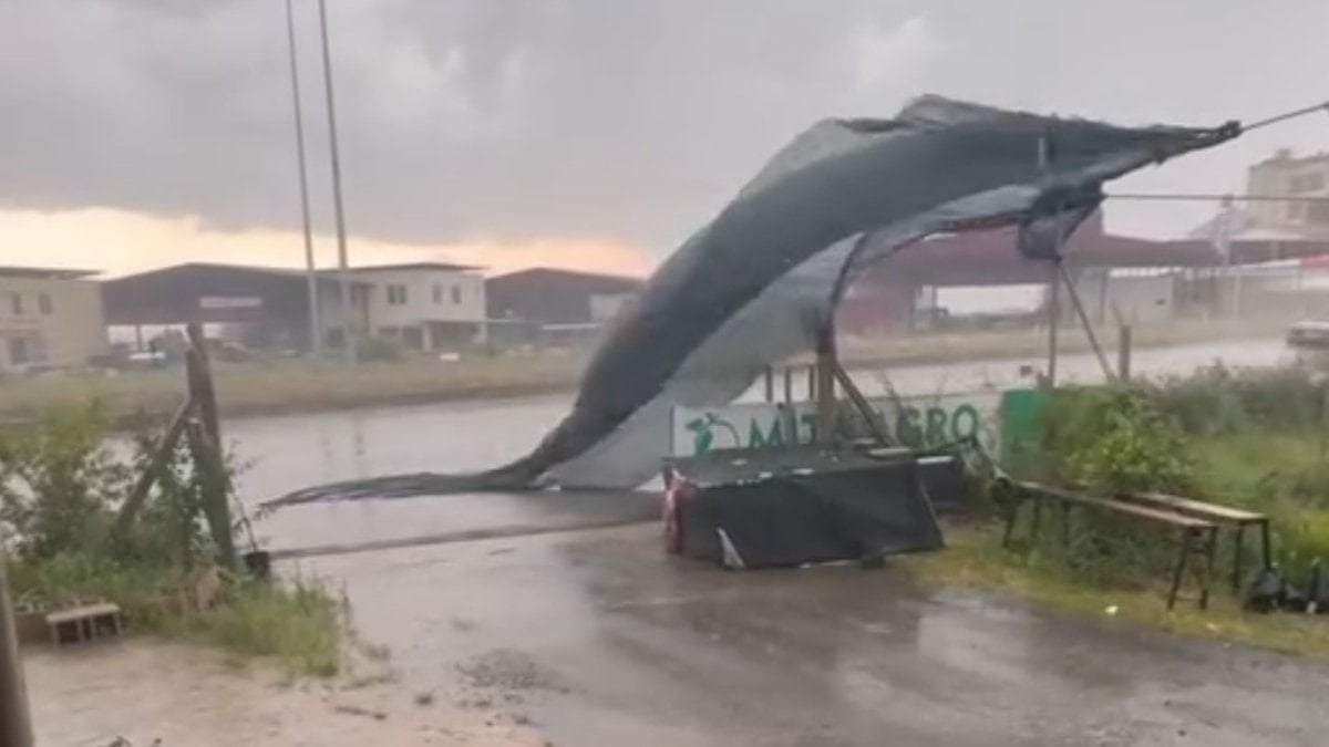 Adana'da fırtına ve sağanak: Seralar hasar gördü