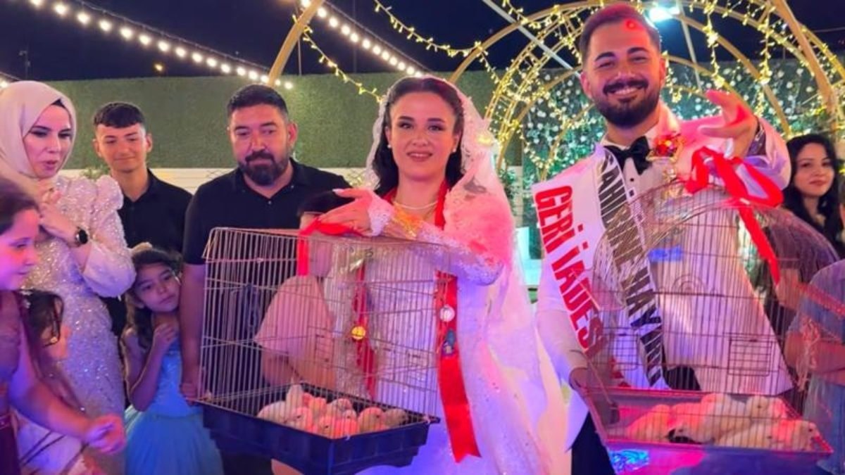 Kahramanmaraş'ta düğünde altın yerine 100 civciv hediye etti