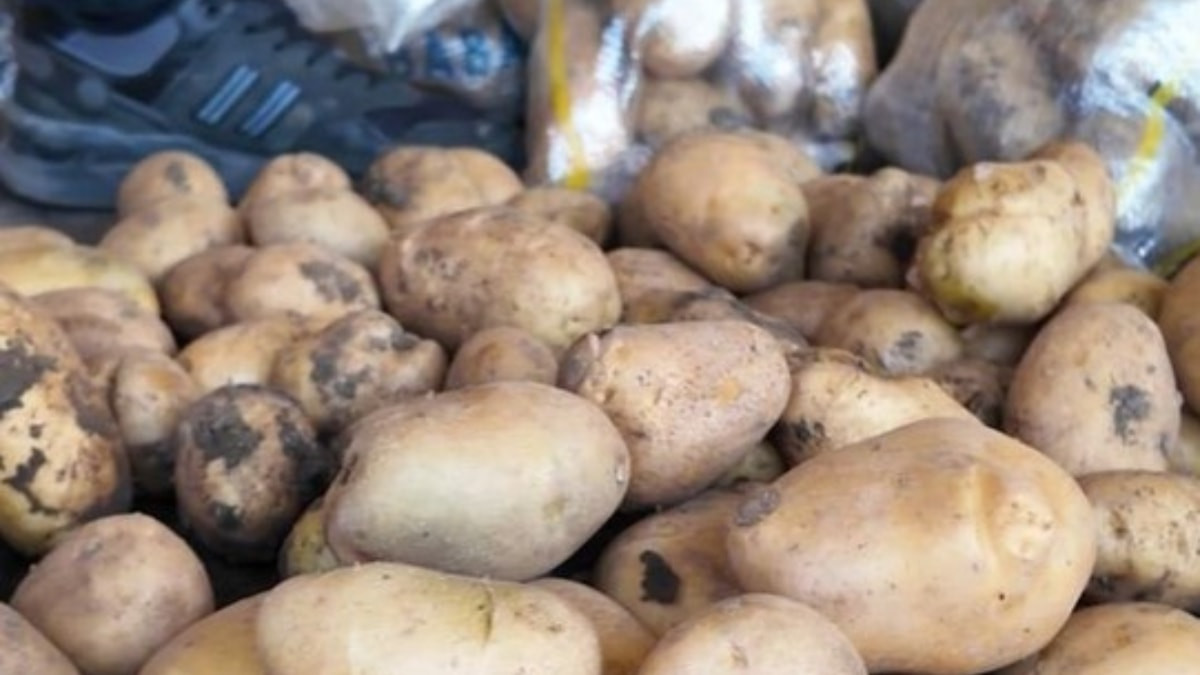 Afyonkarahisar’da hileli patates satışına denetim: 9 kilo denilen çuvallar 7,5 kilo çıktı