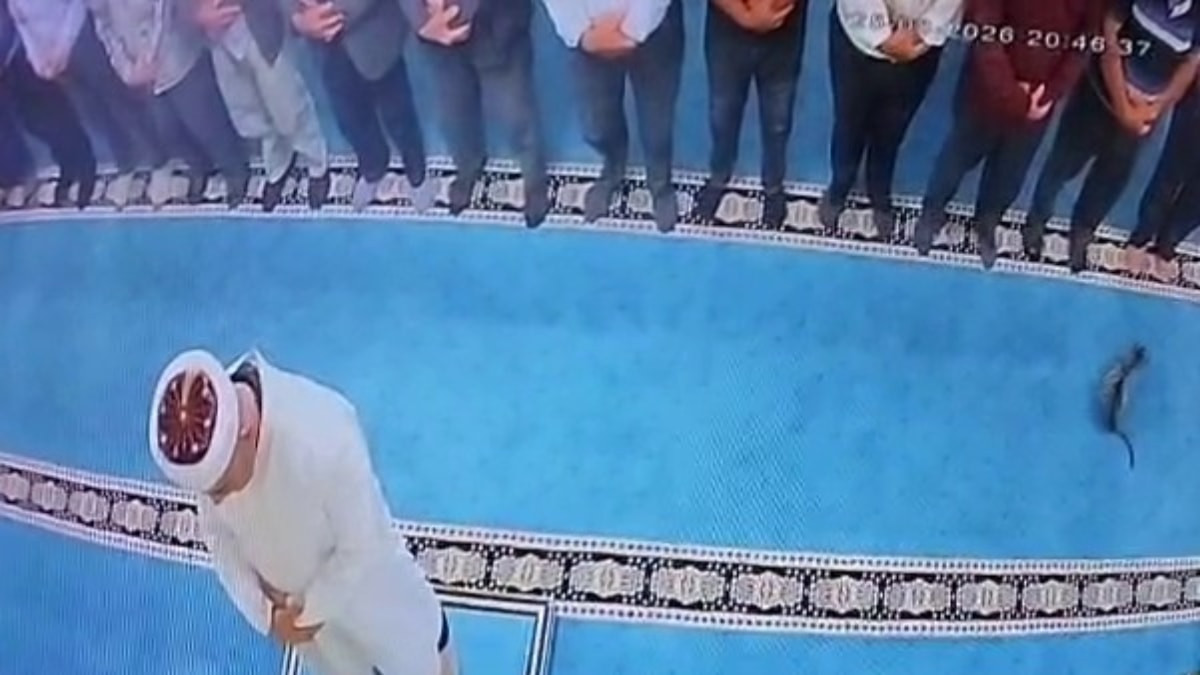 Erzurum'da namaz esnasında gelen kediyi tekmeleyen şahsa tepki yağdı: Gözaltına alındı