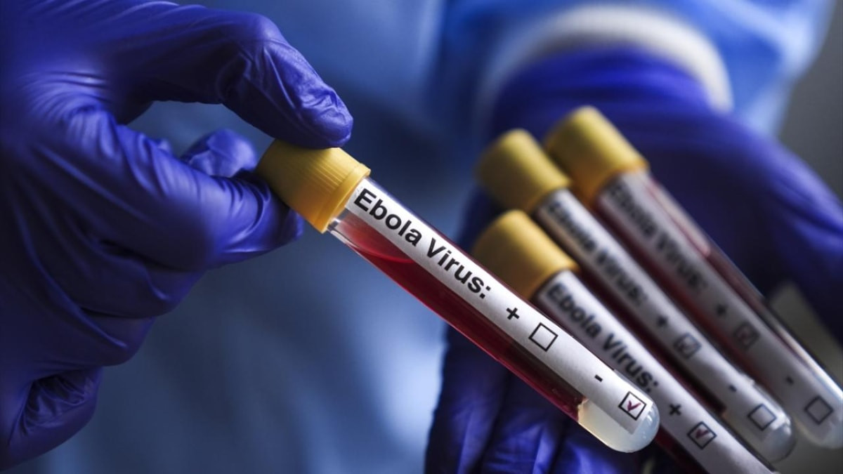 Kongo'da Ebola salgını: Vaka sayısı 8 bini aştı