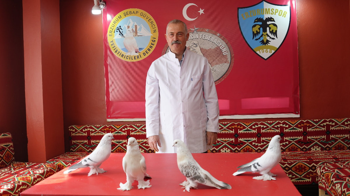 Erzurum'da emekli astsubay, 40 güvercini için ev kiraladı