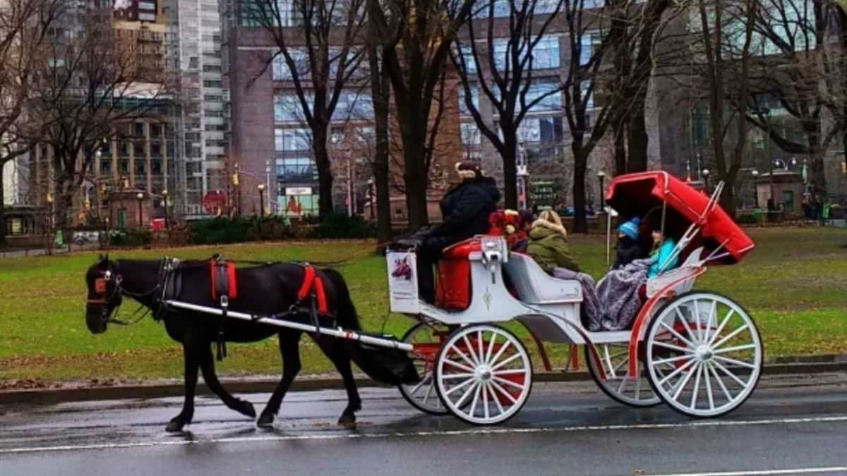 New York’ta fayton dönemi sona eriyor: Tarih belli oldu