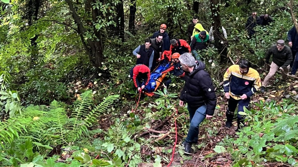 Sakarya'da kestane toplamak için girdiği ormanda ölü bulundu